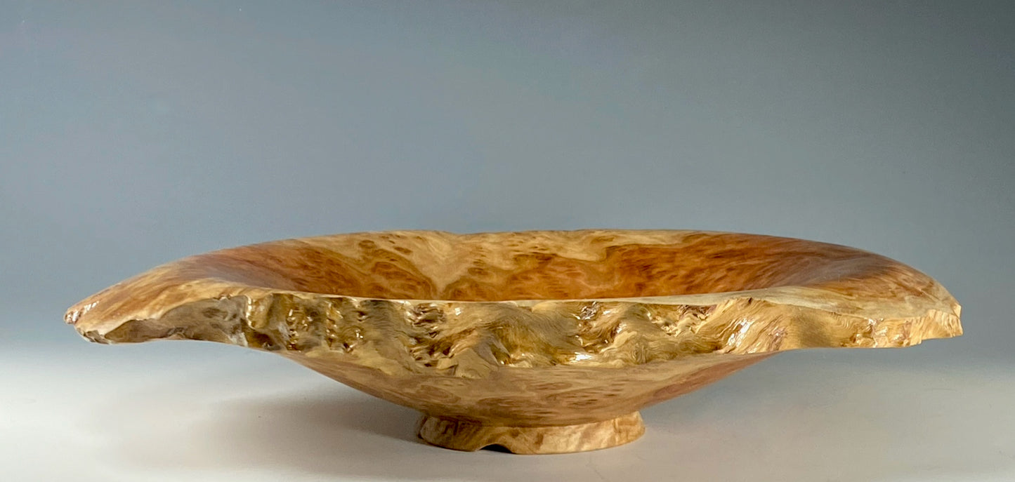 DISPLAY TURNING OF AUSTRALIAN RED MALLEE BURL