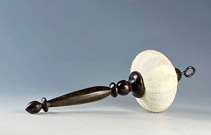 DISPLAY PIECE FASHIONED FROM SEA URCHIN AND AFRICAN BLACKWOOD