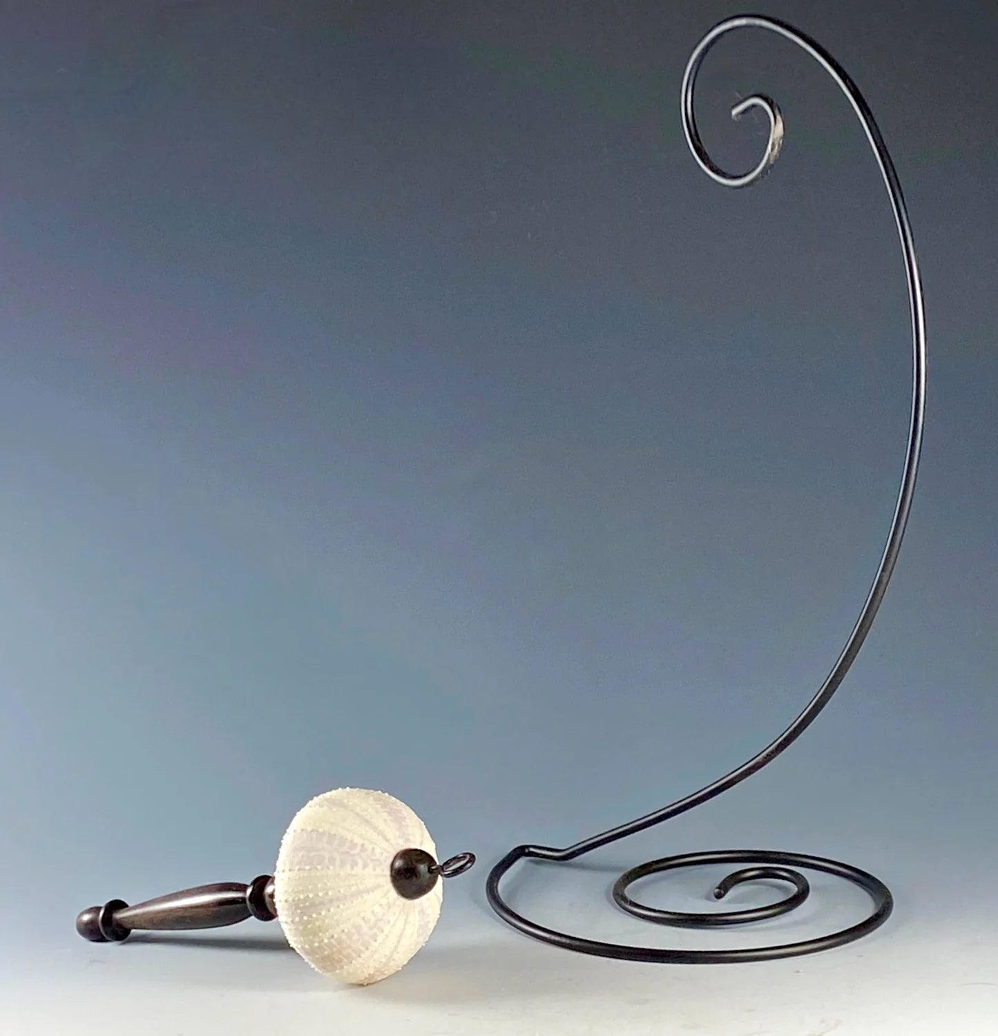DISPLAY PIECE FASHIONED FROM SEA URCHIN AND AFRICAN BLACKWOOD
