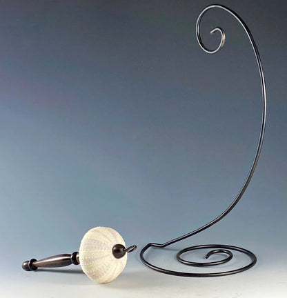 DISPLAY PIECE FASHIONED FROM SEA URCHIN AND AFRICAN BLACKWOOD