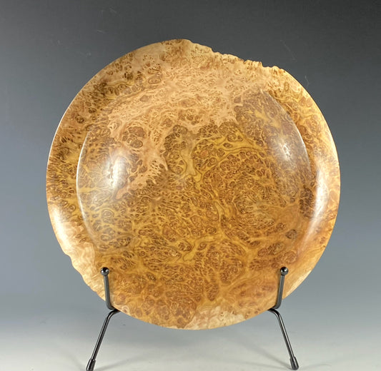 DISPLAY TURNING TURNED FROM GOLD MALLEE BURL (AUSTRALIA)
