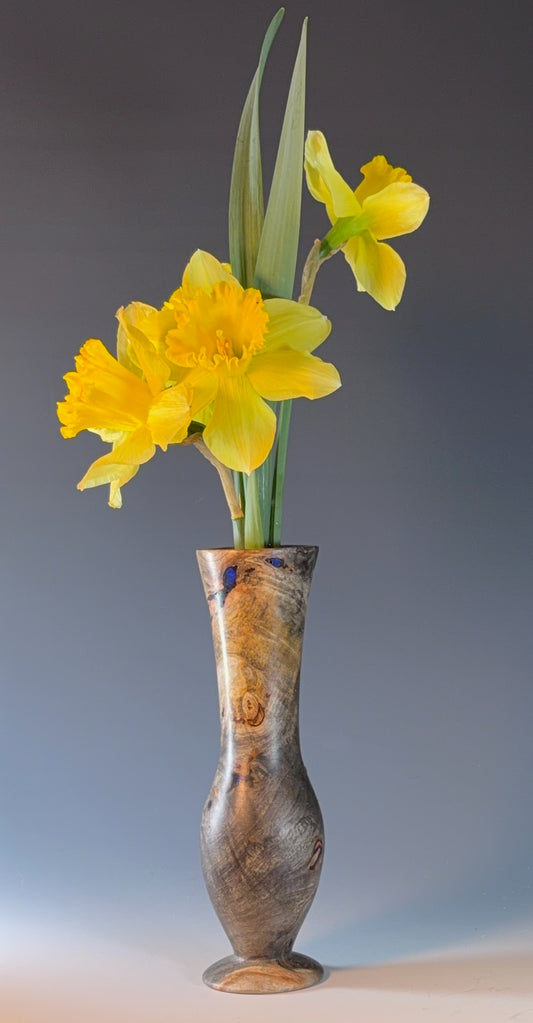 BUD VASE TURNED FROM BUCKEYE BURL, WITH LAPIS LAZULI INLAY