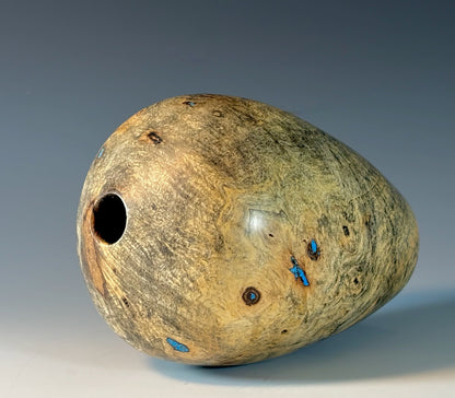 HOLLOW FORM TURNED FROM BUCKEYE BURL (2)