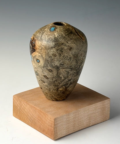 HOLLOW VASE FORM TURNED FROM BUCKEYE BURL