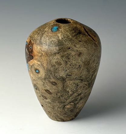HOLLOW VASE FORM TURNED FROM BUCKEYE BURL