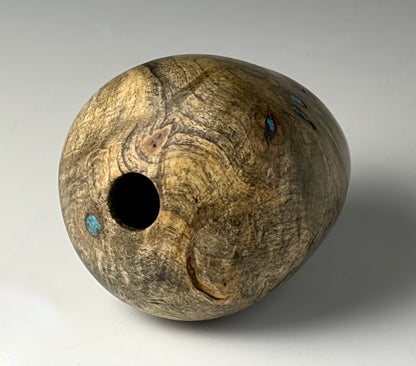 HOLLOW VASE FORM TURNED FROM BUCKEYE BURL
