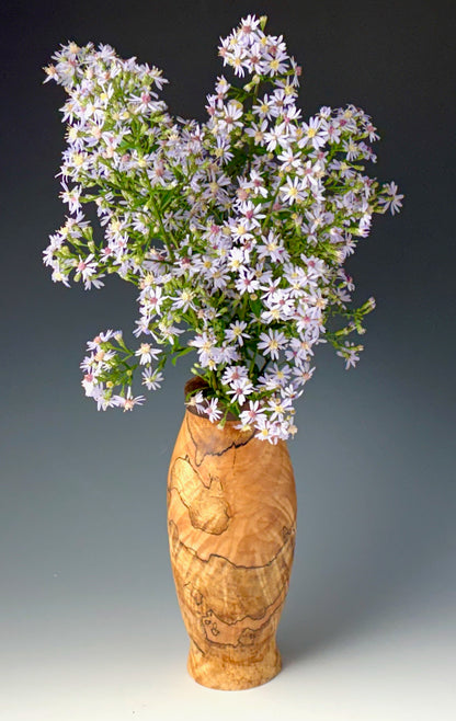 BUD VASE TURNED FROM SPALTED MAPLE, WITH COCOBOLO COLLAR