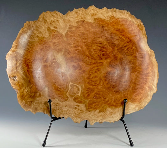 DISPLAY TURNING OF AUSTRALIAN RED MALLEE BURL