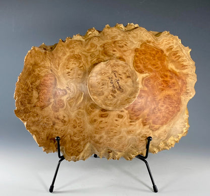 DISPLAY TURNING OF AUSTRALIAN RED MALLEE BURL