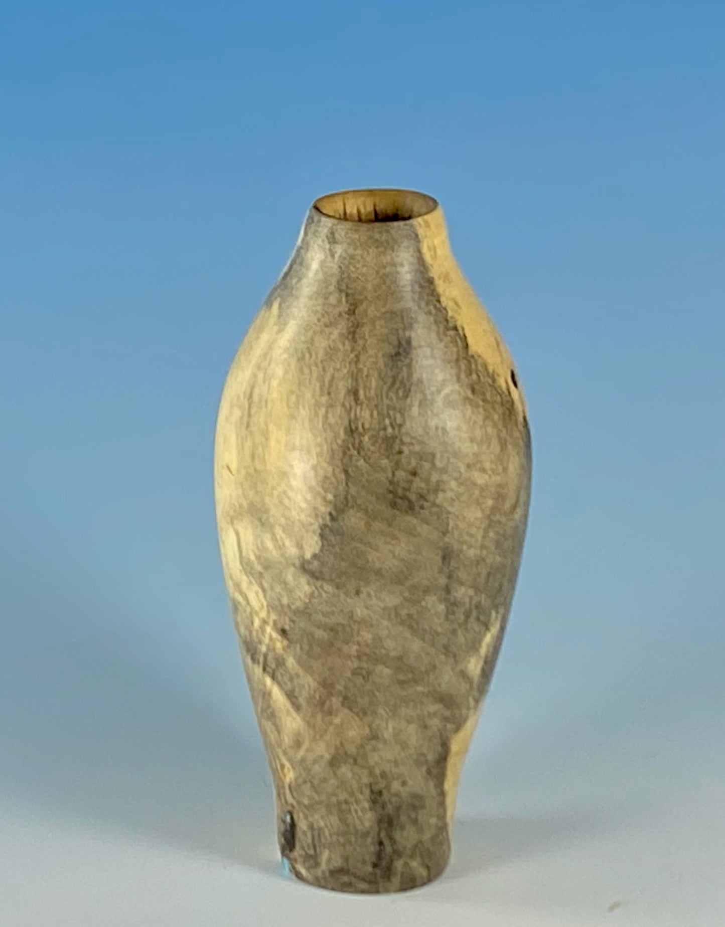 SMALL HOLLOW VASE FORM
