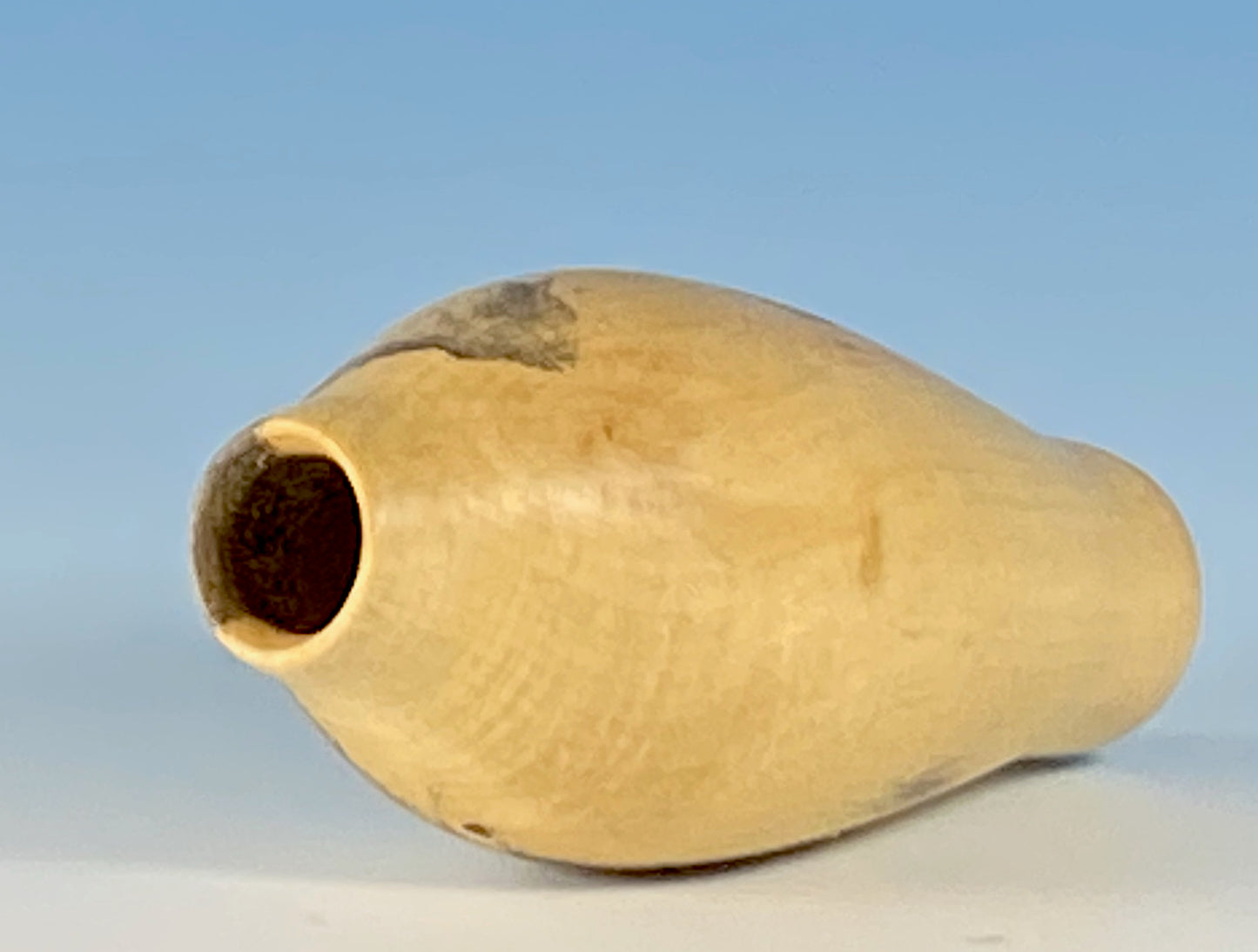 SMALL HOLLOW VASE FORM