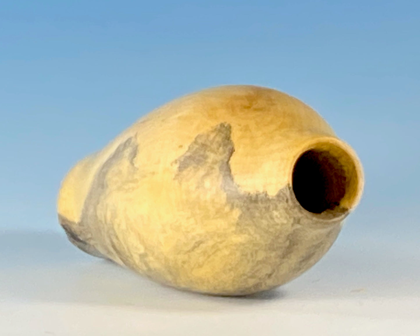 SMALL HOLLOW VASE FORM