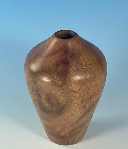 Hollow form turned from Camphor Burl