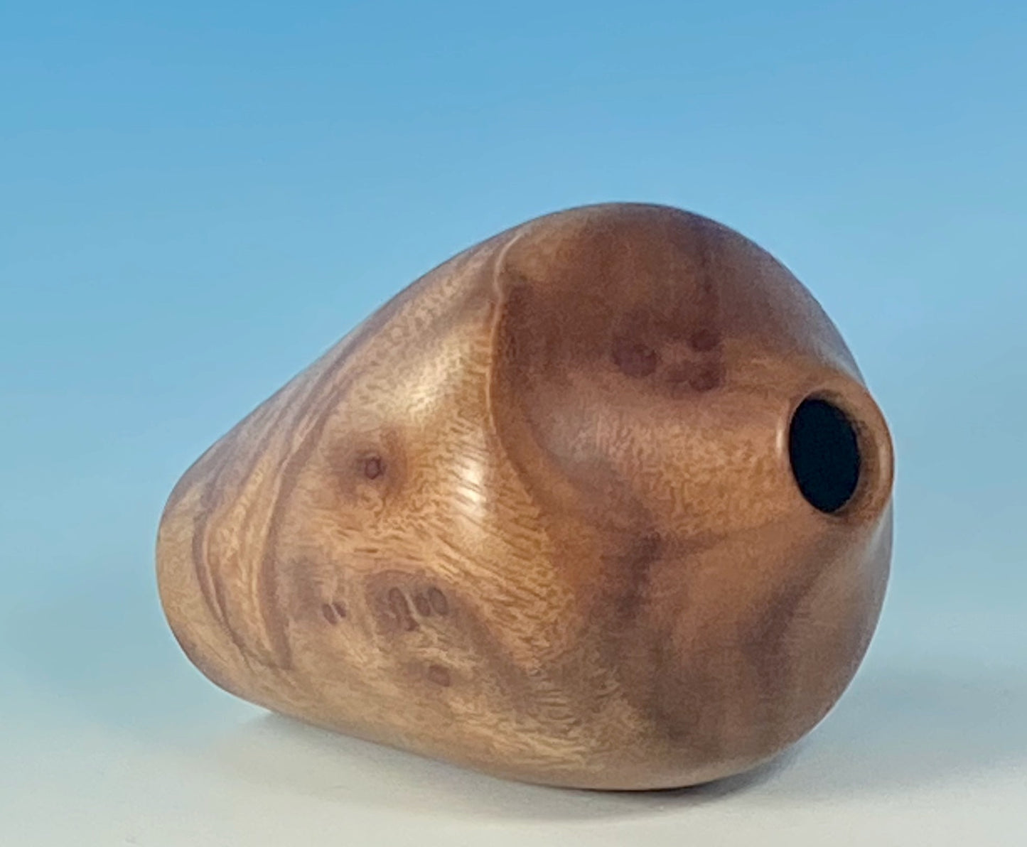 Hollow form turned from Camphor Burl