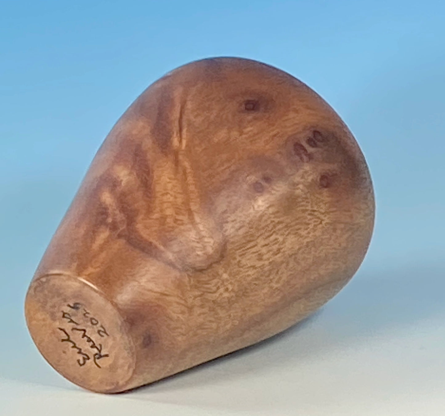 Hollow form turned from Camphor Burl