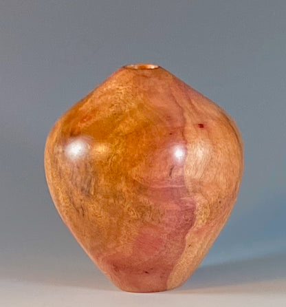 HOLLOW FORM TURNED FROM CAMPHOR BURL