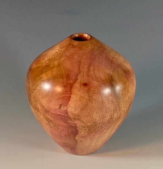 HOLLOW FORM TURNED FROM CAMPHOR BURL
