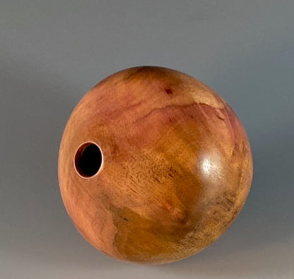 HOLLOW FORM TURNED FROM CAMPHOR BURL