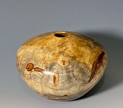 HOLLOW FORM TURNED FROM BUCKEYE BURL